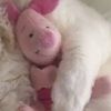lisset_271